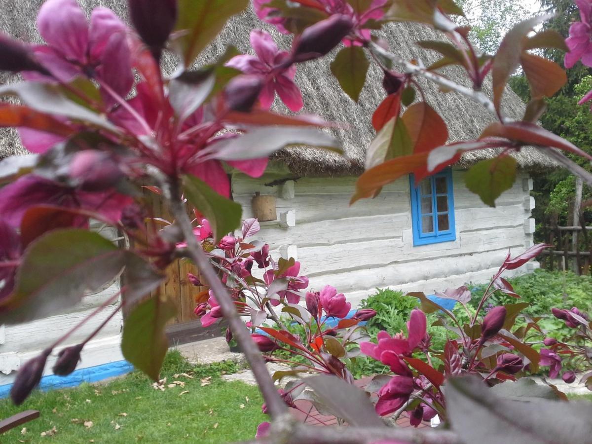 Dzikie Roztocze - Stara Chata Krasnobrod Exterior photo
